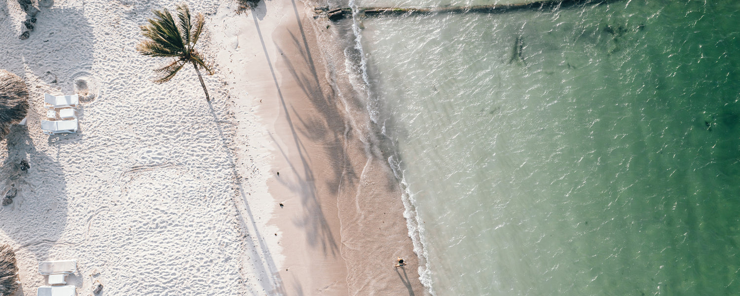 Sun, Sand, and Serenity: Exploring Florida's Top Beach Destinations